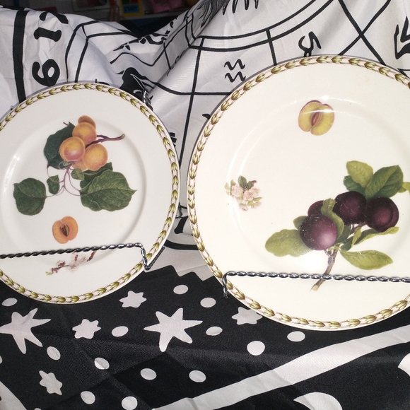 QUEENS Dining 2 Beautiful Queens Fine Bone China 9 Inches Plates